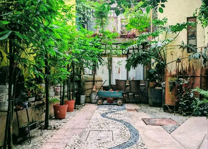 Coyoacan 5*